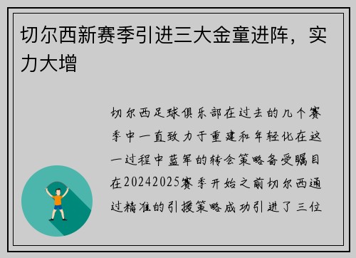 切尔西新赛季引进三大金童进阵,实力大增 切尔西新赛季引进三大金童进阵,实力大增